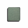 FS Eye Shadow PEARL