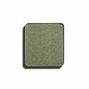 FS Eye Shadow PEARL