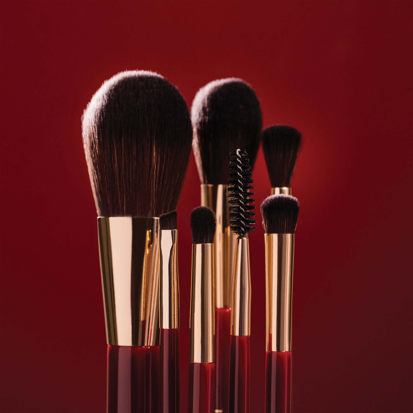 Brush Tube Makeup Set (Burgundy)