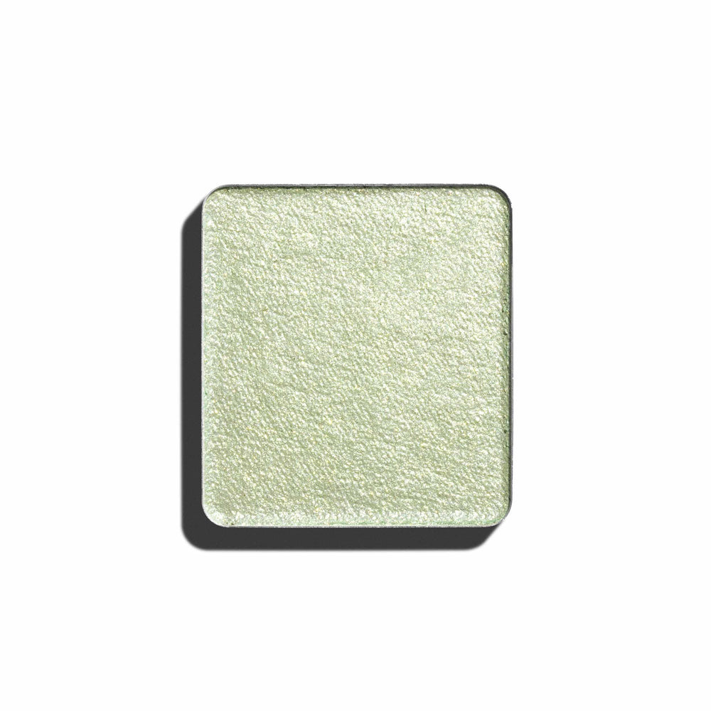 FS Creamy Pigment Eye Shadow